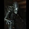 NECA Alien 40th Anniversary Ultimate Big Chap -Nerdzoic Sales 10 56da710d 9a11 40f0 b9ac 45e42872519b 718421