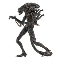 NECA Ultimate Aliens Warrior (Brown) -Nerdzoic Sales alienbrown3 374565