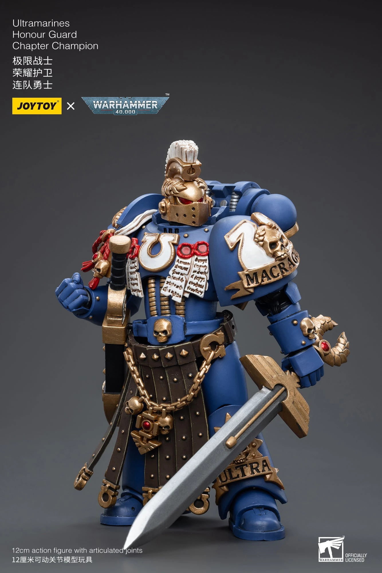 Joy Toy Warhammer 40K Ultramarines Honour Guard Chapter Champ (1/18 Scale) 13 Joy Toy Warhammer 40K Ultramarines Honour Guard Chapter Champ (1/18 Scale) - Image 11