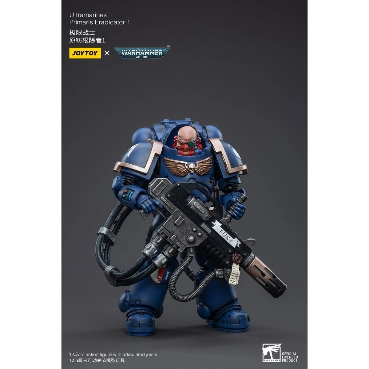 Joy Toy Warhammer 40K Ultramarines Primaris Eradicator Captain Tyanos Thio (1/18 Scale) 5 Joy Toy Warhammer 40K Ultramarines Primaris Eradicator Captain Tyanos Thio (1/18 Scale) - Image 3