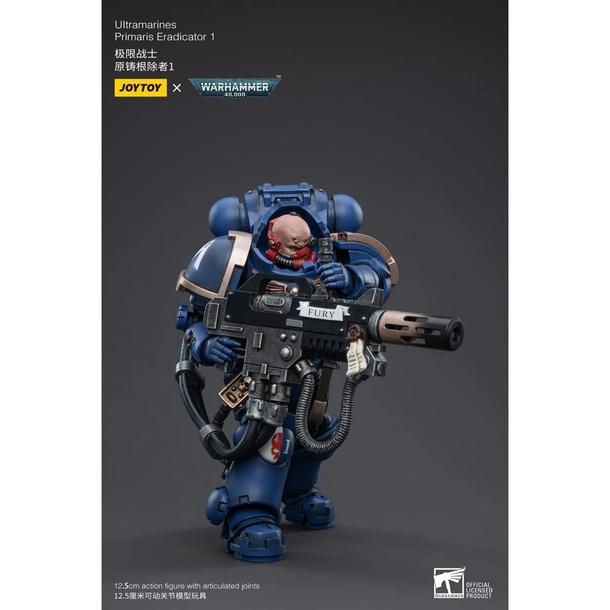 Joy Toy Warhammer 40K Ultramarines Primaris Eradicator Captain Tyanos Thio (1/18 Scale) 9 Joy Toy Warhammer 40K Ultramarines Primaris Eradicator Captain Tyanos Thio (1/18 Scale) - Image 7