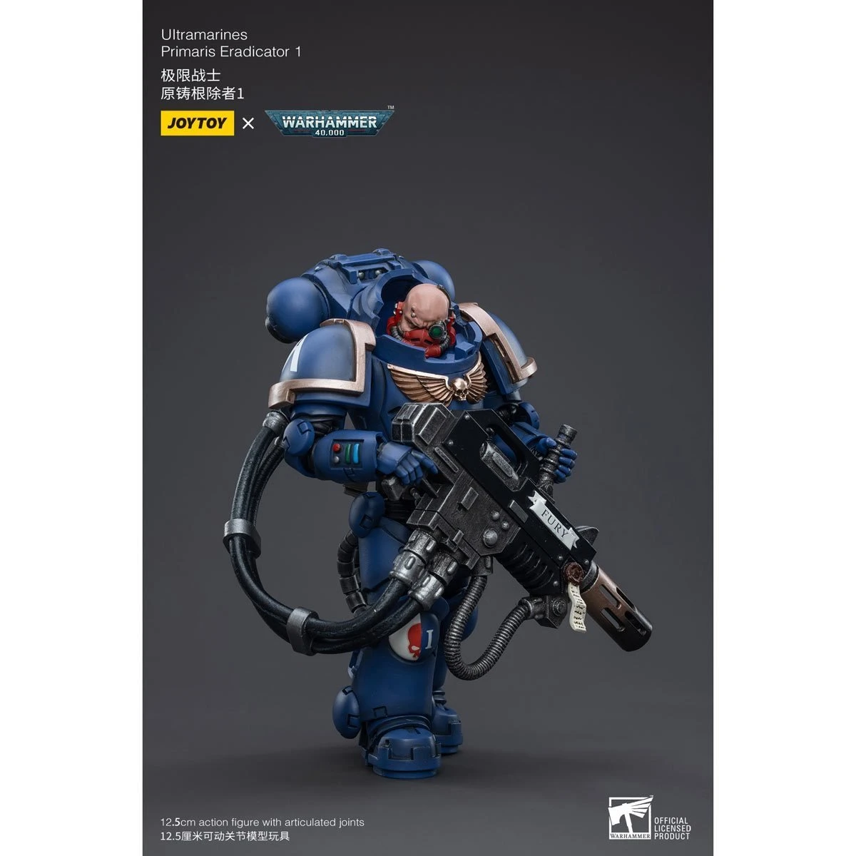 Joy Toy Warhammer 40K Ultramarines Primaris Eradicator Captain Tyanos Thio (1/18 Scale) 12 Joy Toy Warhammer 40K Ultramarines Primaris Eradicator Captain Tyanos Thio (1/18 Scale) - Image 10
