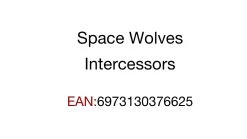 Joy Toy Warhammer 40K Space Wolves Intercessors (1/18 Scale) -Nerdzoic Sales spacewolve06 122187